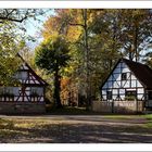 Herbst in Kloster Veßra (3)