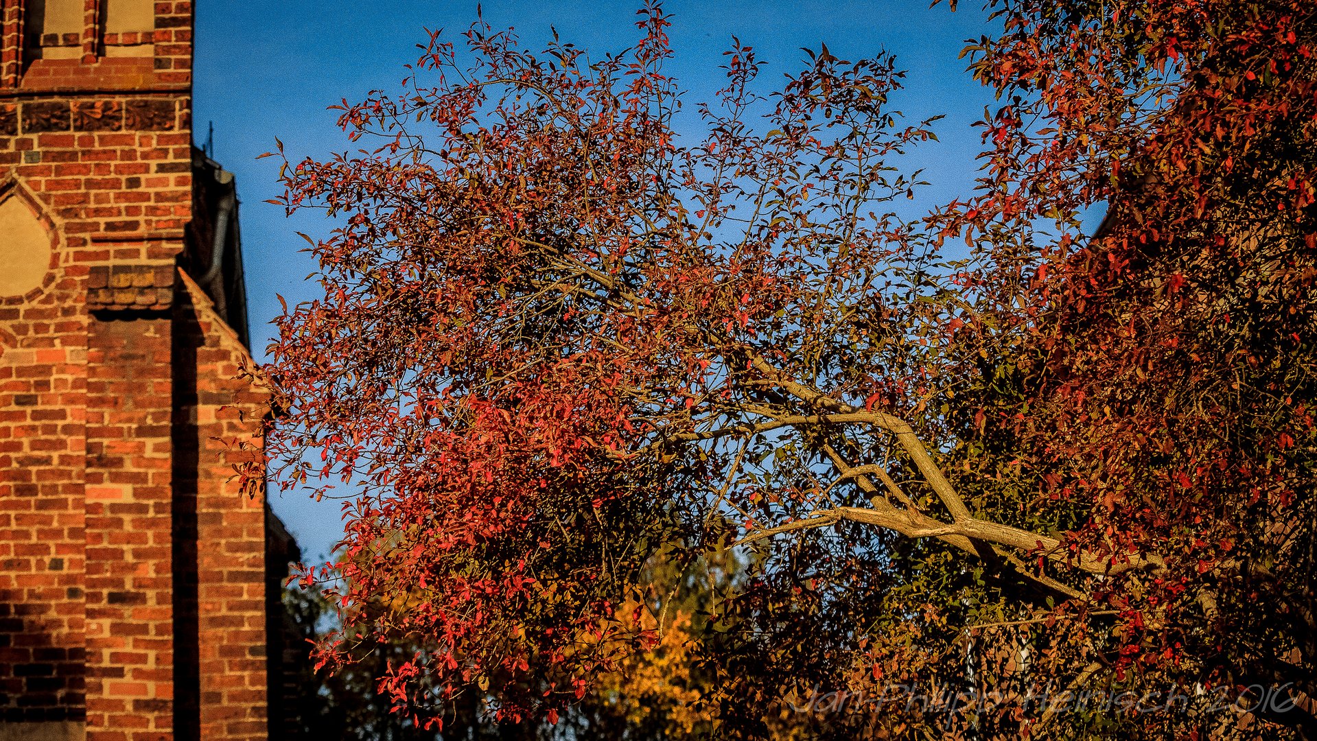 Herbst in Kloster Zinna