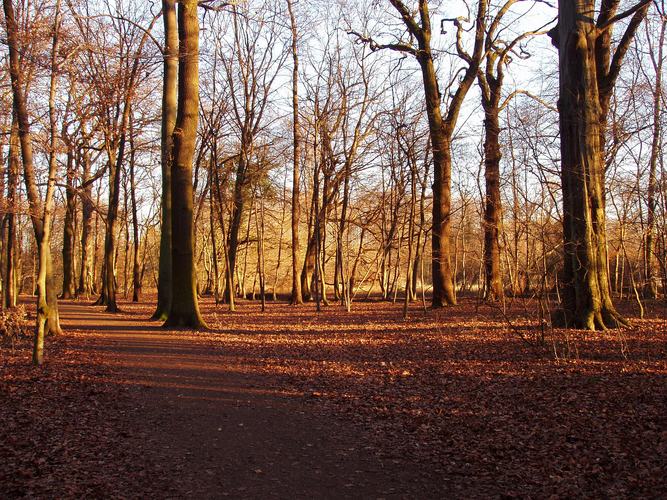 Herbst in Kölle