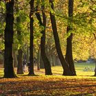 Herbst in Köln