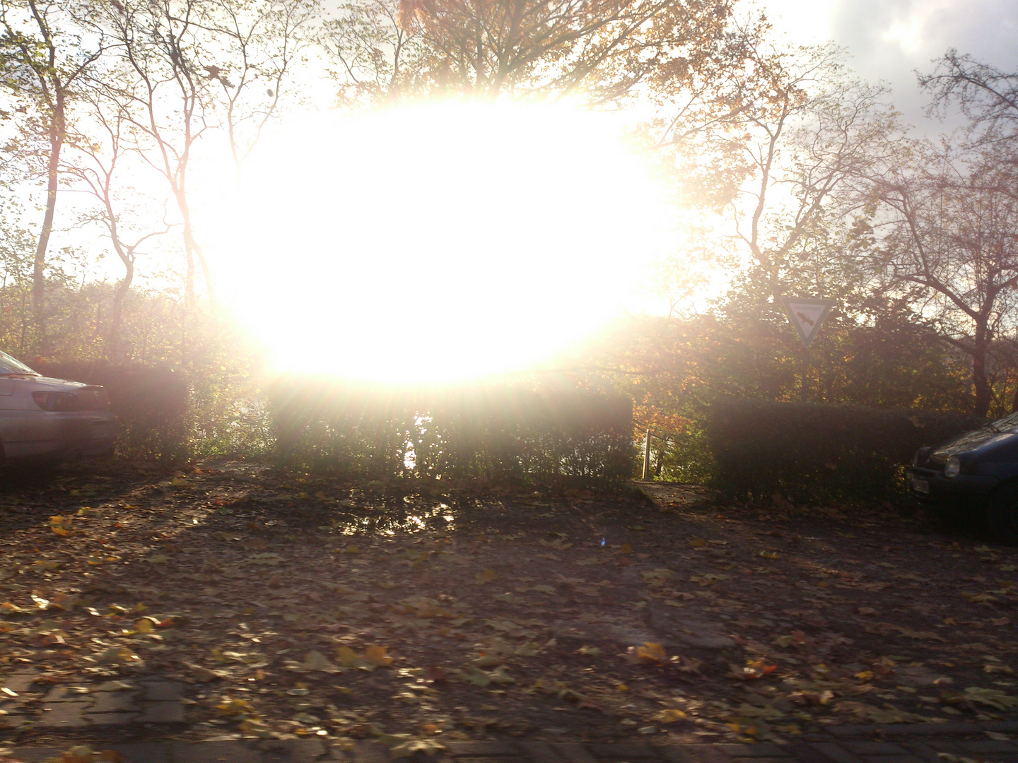 Herbst in Köln