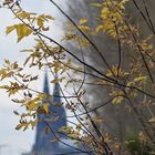 Herbst in Köln