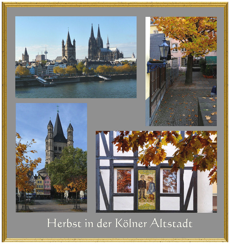 Herbst in Köln