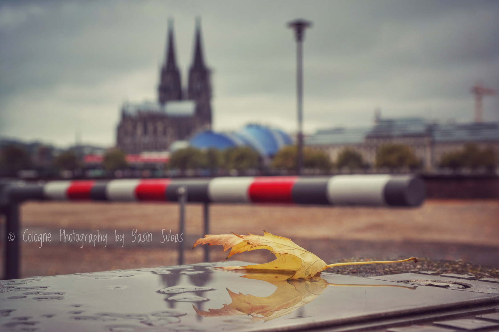 Herbst in Köln