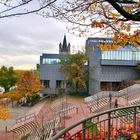 Herbst in Köln....