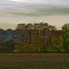 Herbst in Köln II