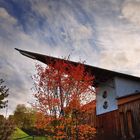 Herbst in Kohlberg