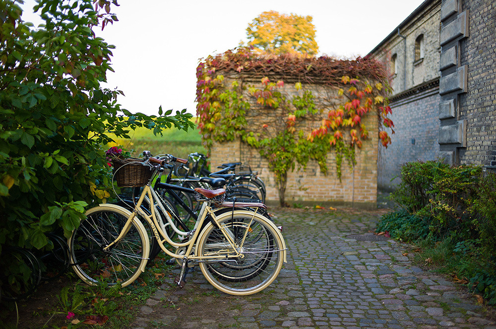 Herbst in Kopenhagen