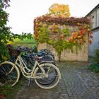 Herbst in Kopenhagen