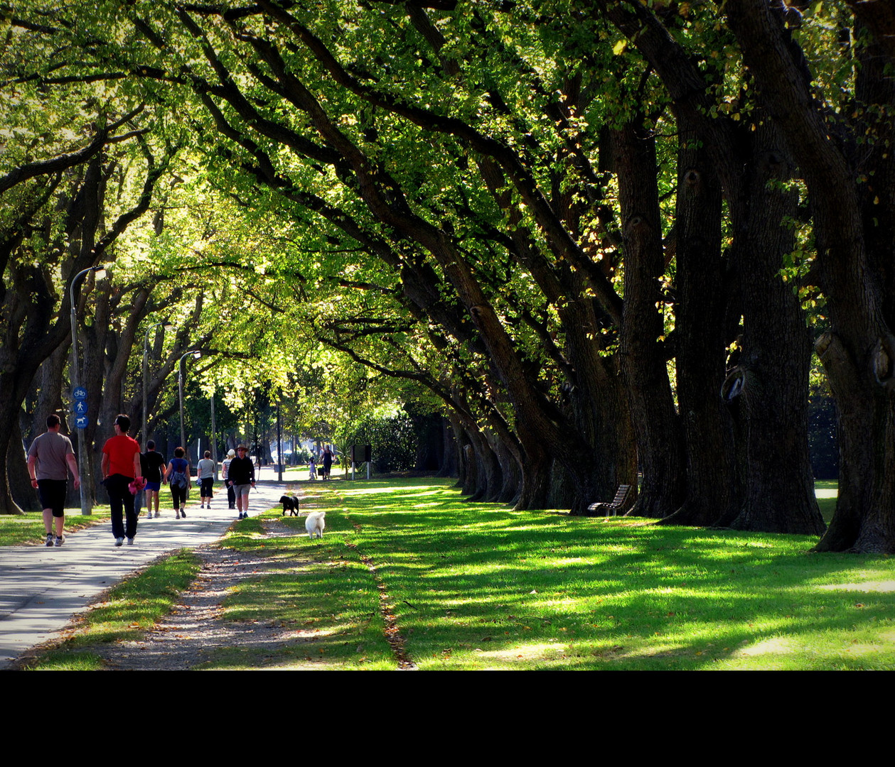 Herbst in kurzen Hosen