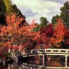 Herbst in Kyoto 01