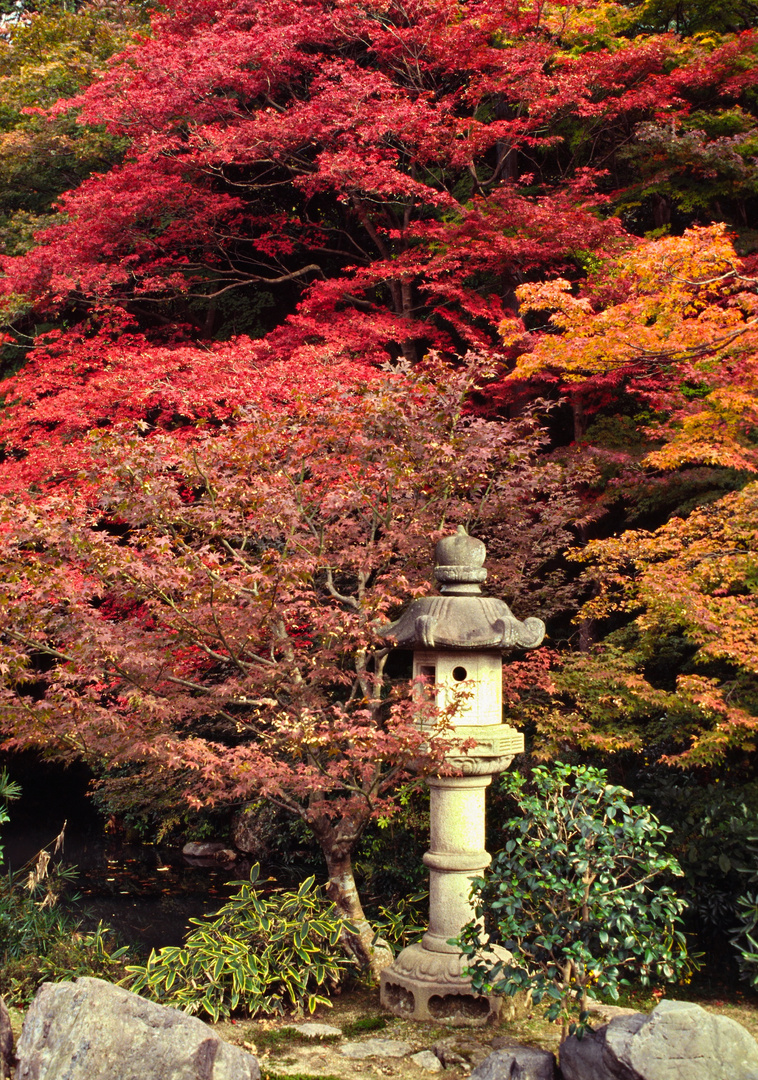 Herbst in Kyoto 06