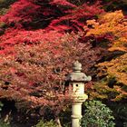 Herbst in Kyoto 06