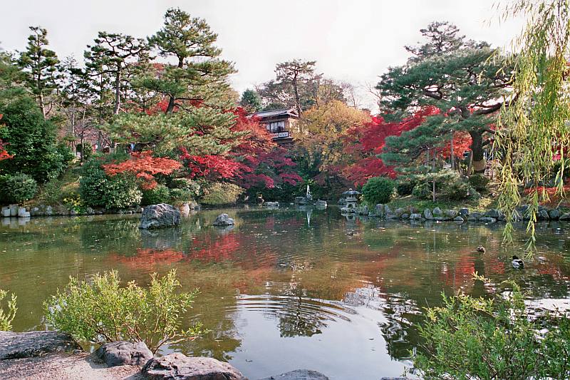 Herbst in Kyoto 1