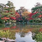 Herbst in Kyoto 1
