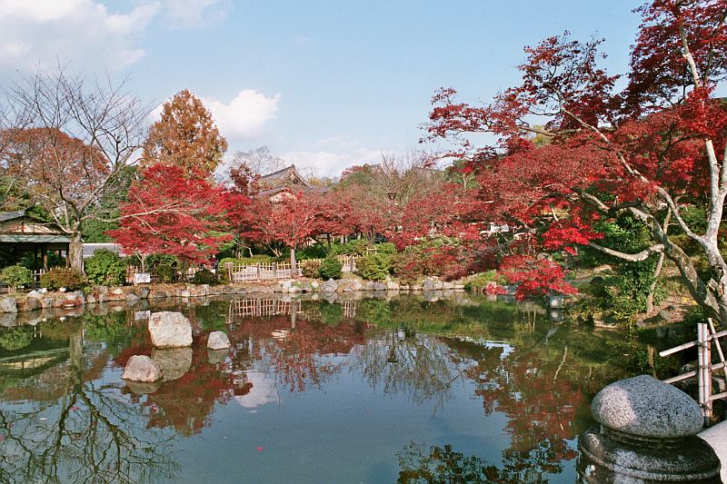 Herbst in Kyoto 2