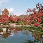Herbst in Kyoto 2