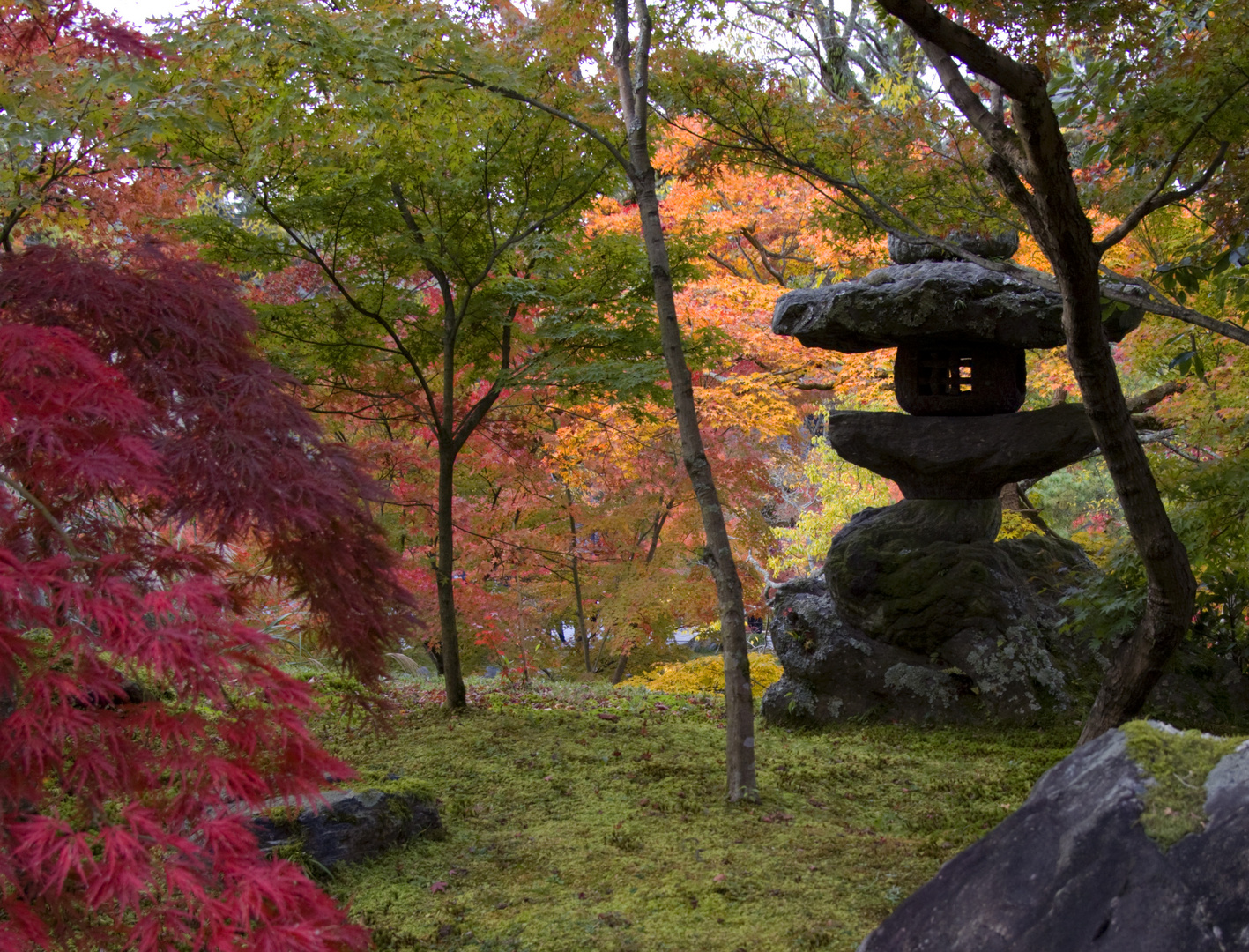 Herbst in Kyoto