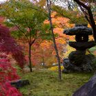 Herbst in Kyoto