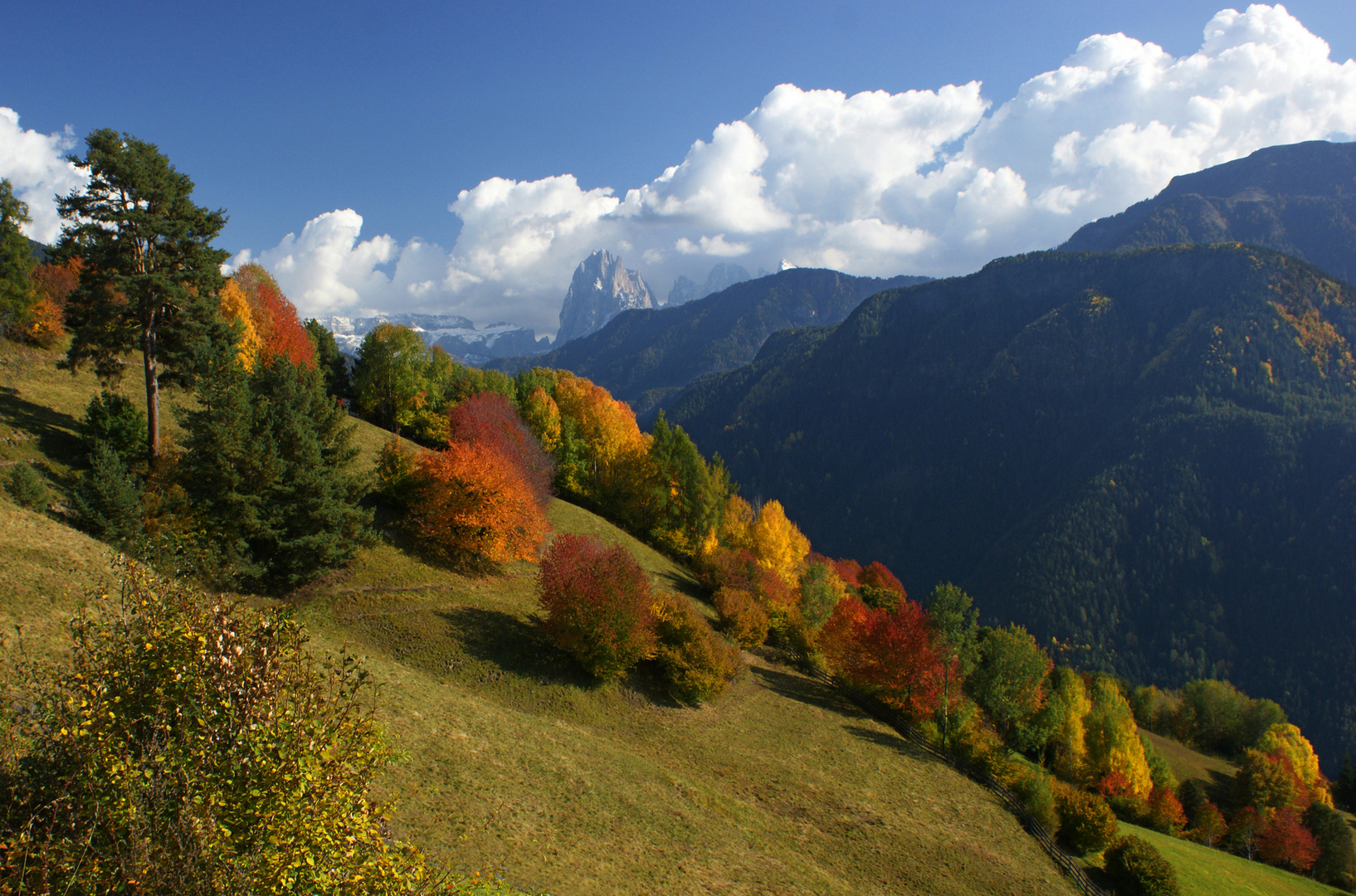 Herbst in Laien Südtirol