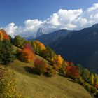 Herbst in Laien Südtirol