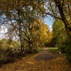 Herbst in Langenhorn