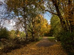 Herbst in Langenhorn