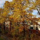 Herbst in Langenhorn