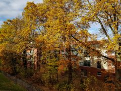 Herbst in Langenhorn