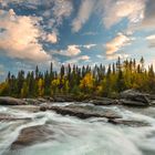 Herbst in Lappland