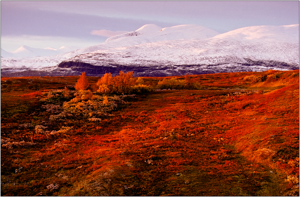 Herbst in Lappland