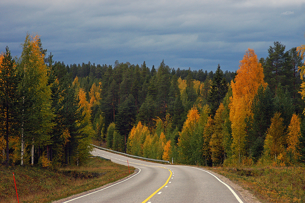 Herbst in Lappland