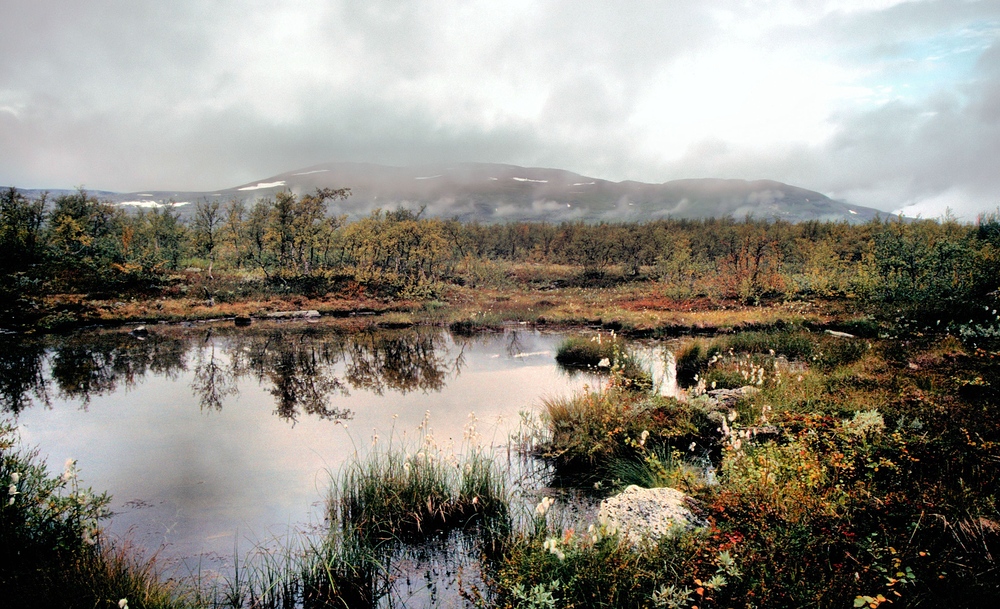 Herbst in Lappland