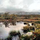 Herbst in Lappland