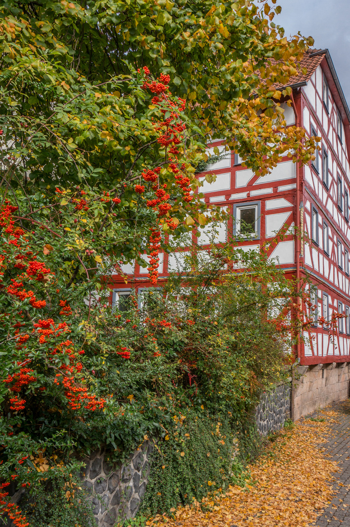 Herbst in Lauterbach - Hessen