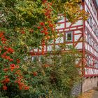 Herbst in Lauterbach - Hessen