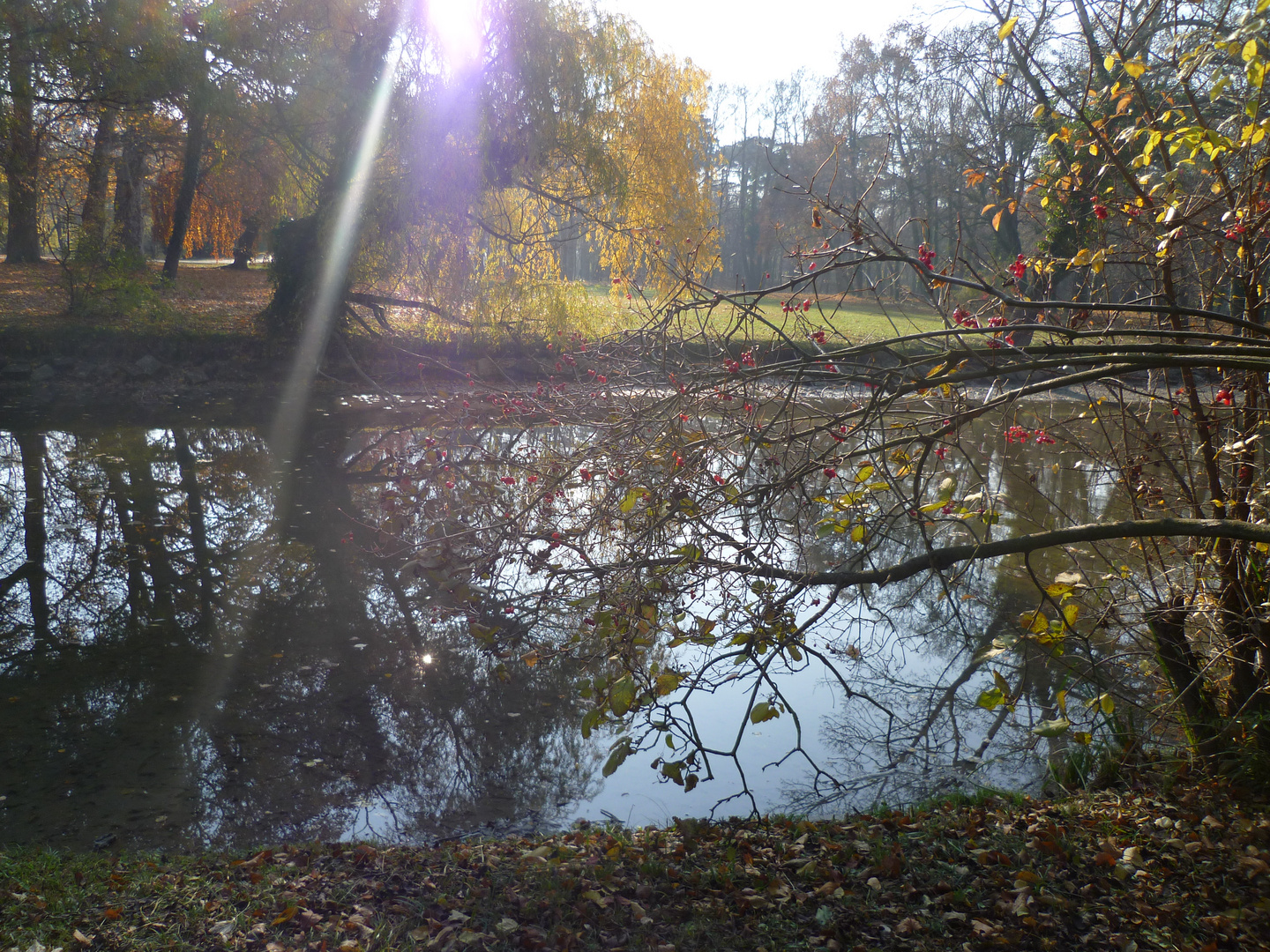 Herbst in Laxenburg