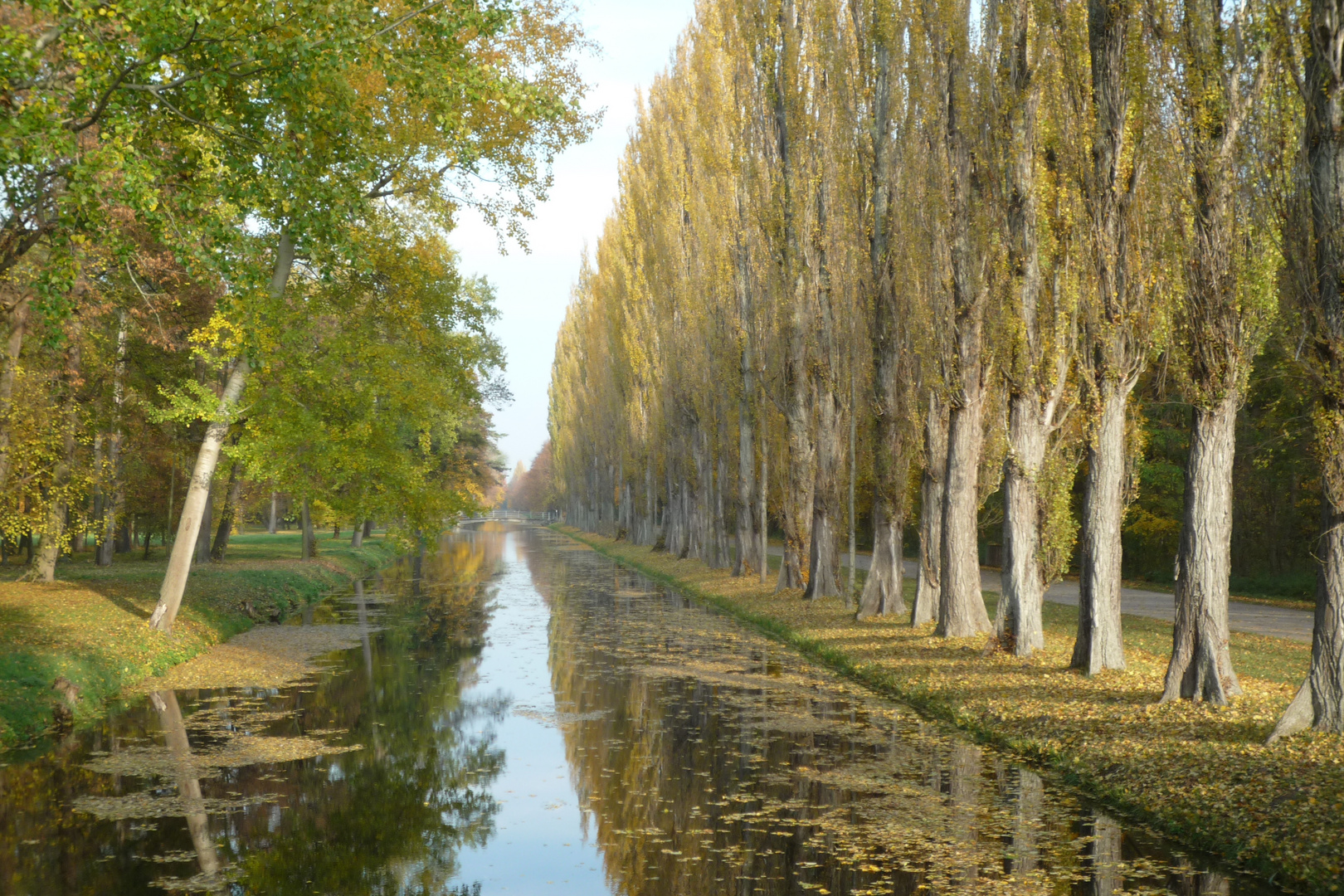 Herbst in Laxenburg