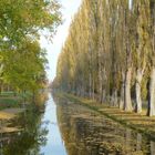 Herbst in Laxenburg