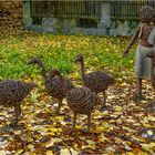 Herbst in Lichtenfels (Korbstadt)