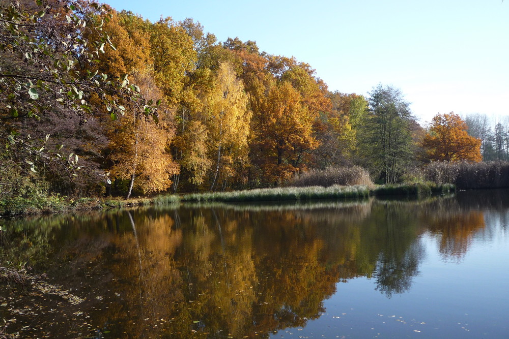 Herbst in Limbach-Oberfrohna 1