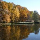 Herbst in Limbach-Oberfrohna 1