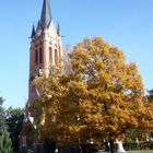 Herbst in Limbach-Oberfrohna 2