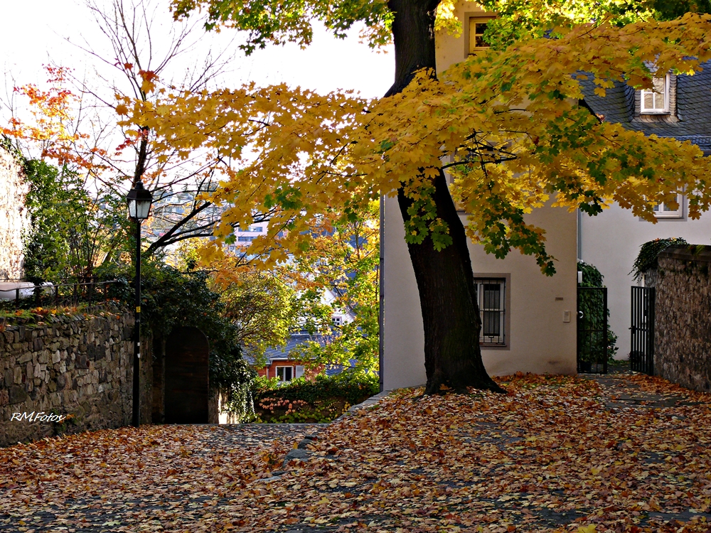 Herbst in Limburg