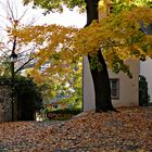 Herbst in Limburg