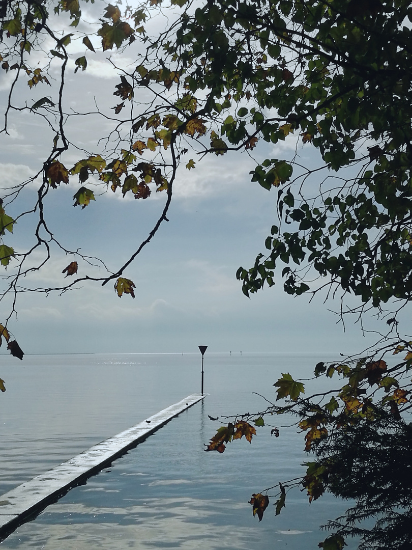 Herbst in Lindau!