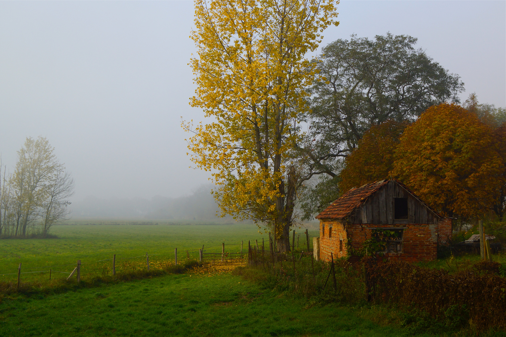 Herbst in Linum