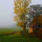 Herbst in Linum