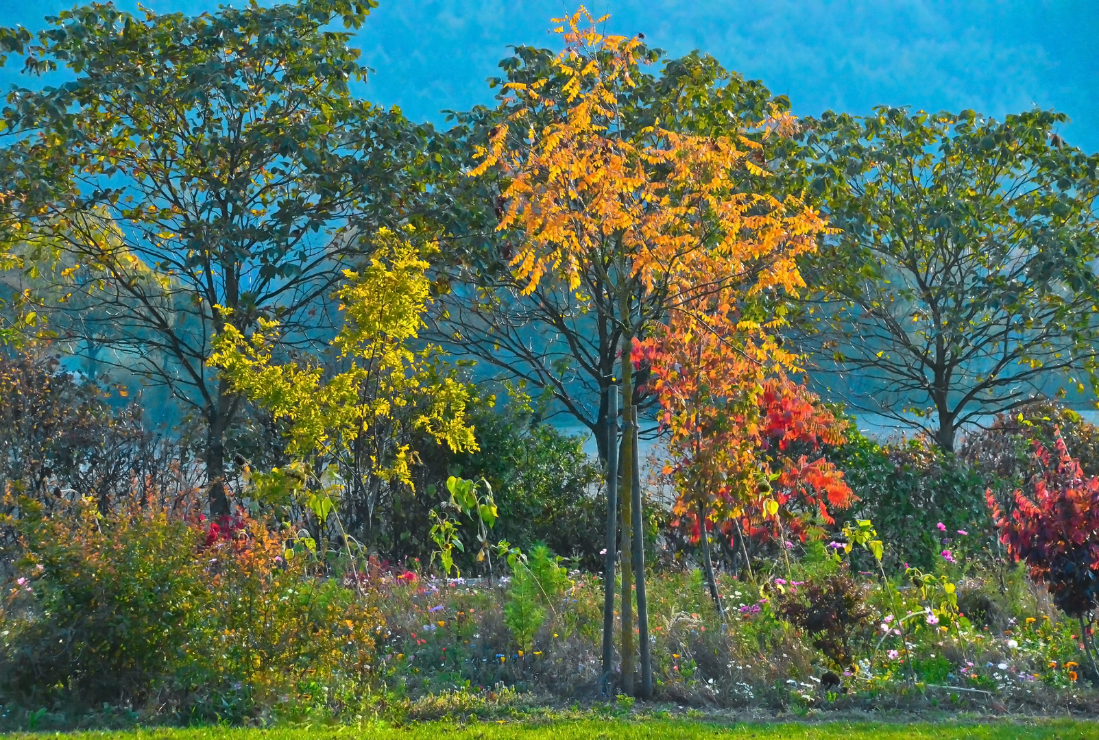 Herbst in Lippe