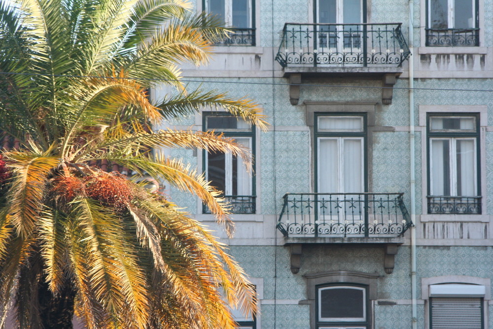 Herbst in Lissabon